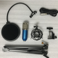 BM800 microphone set