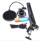 BM800 microphone set